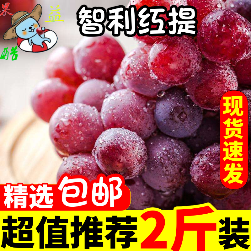 新鲜包邮智利红提葡萄提子整箱水果玫瑰无籽葡萄