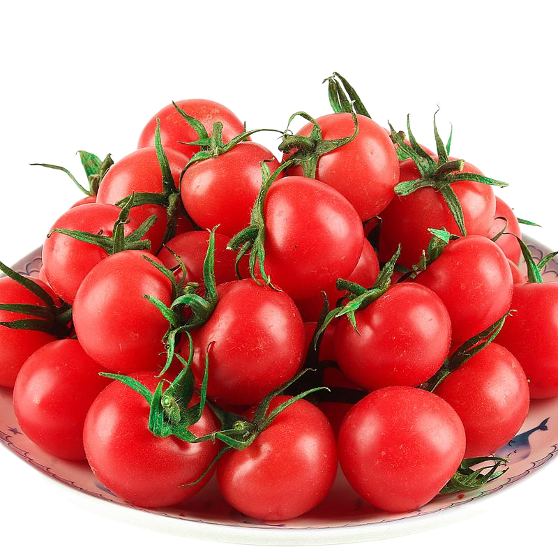 新鲜小番茄酸甜千禧圣女果柿子蔬菜整箱5斤包邮番茄