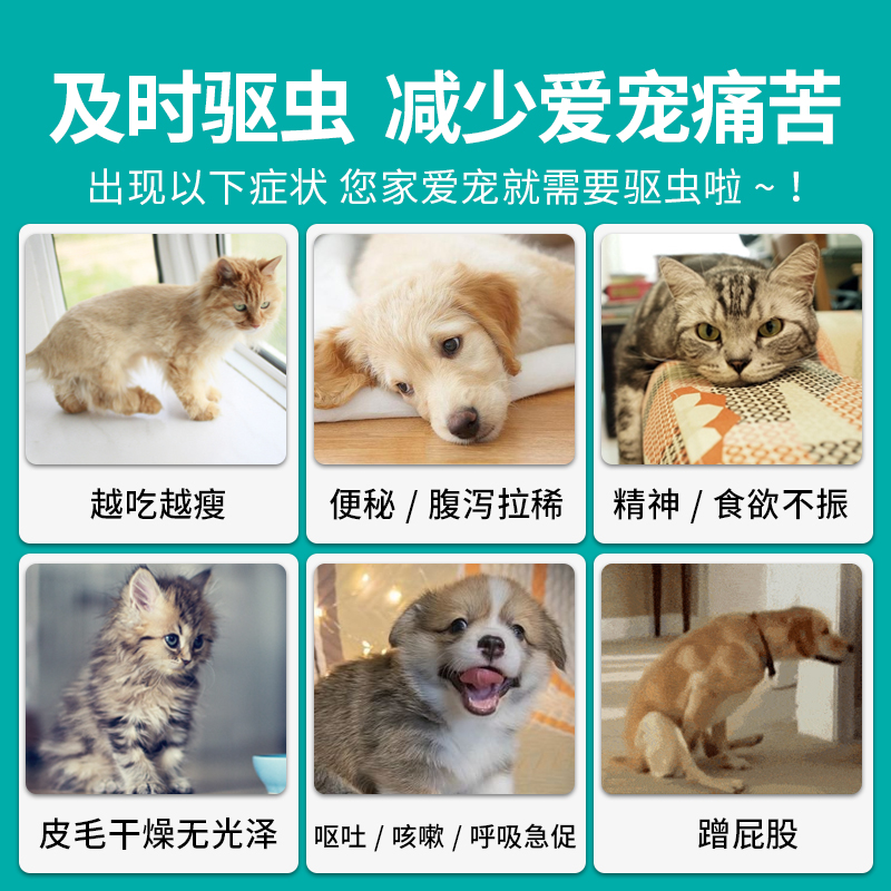 八牧猫咪狗狗驱虫虫药体内内外一体泰迪幼犬猫驱虫药