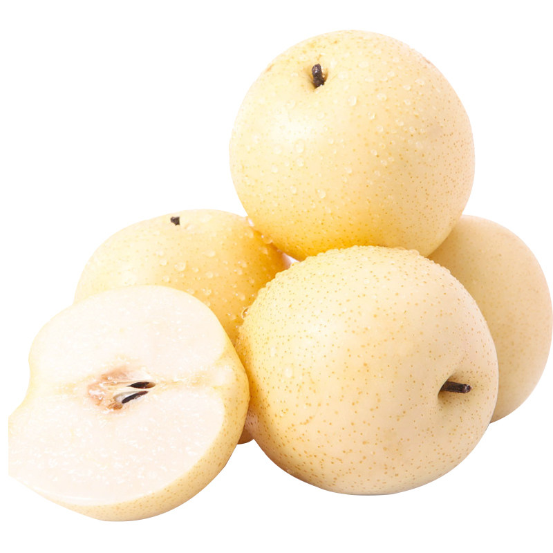 河北皇冠梨10斤现摘新鲜秒发