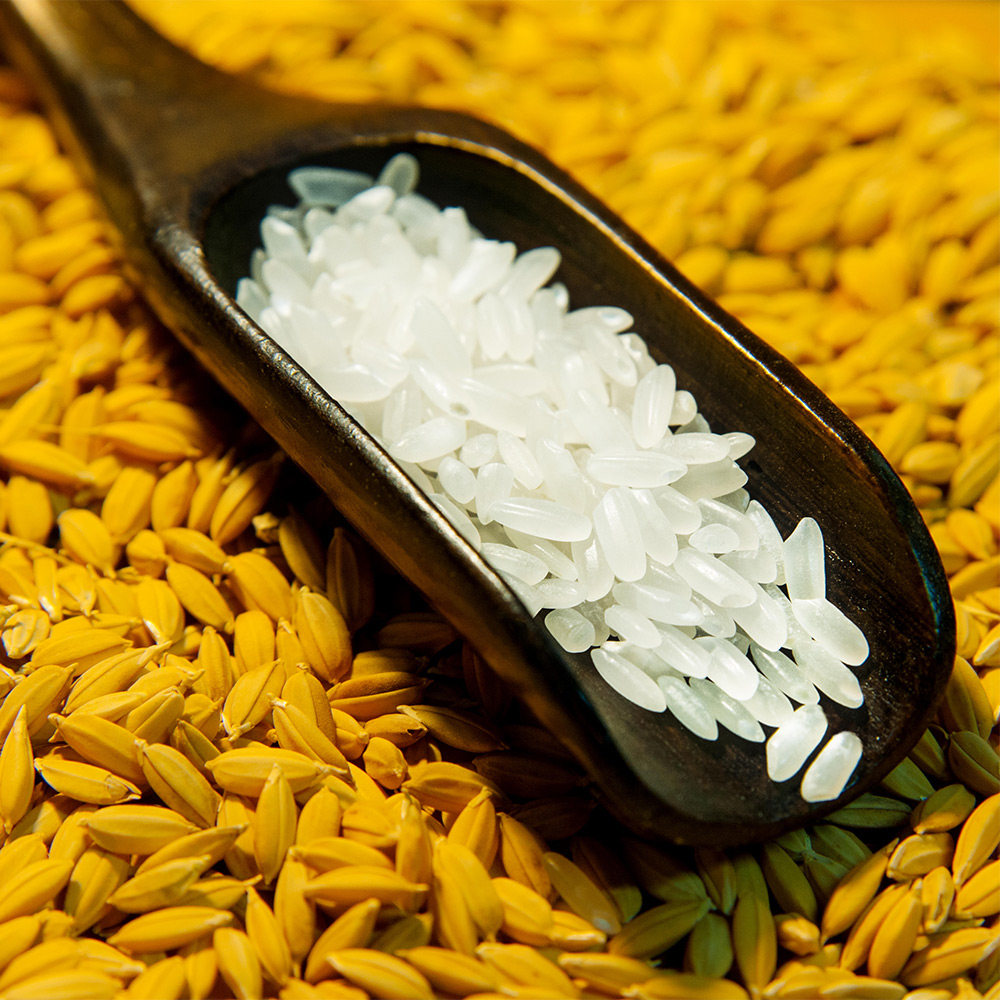 不爱筋道不要年老农场现磨粳稻轻碾保存更多大米