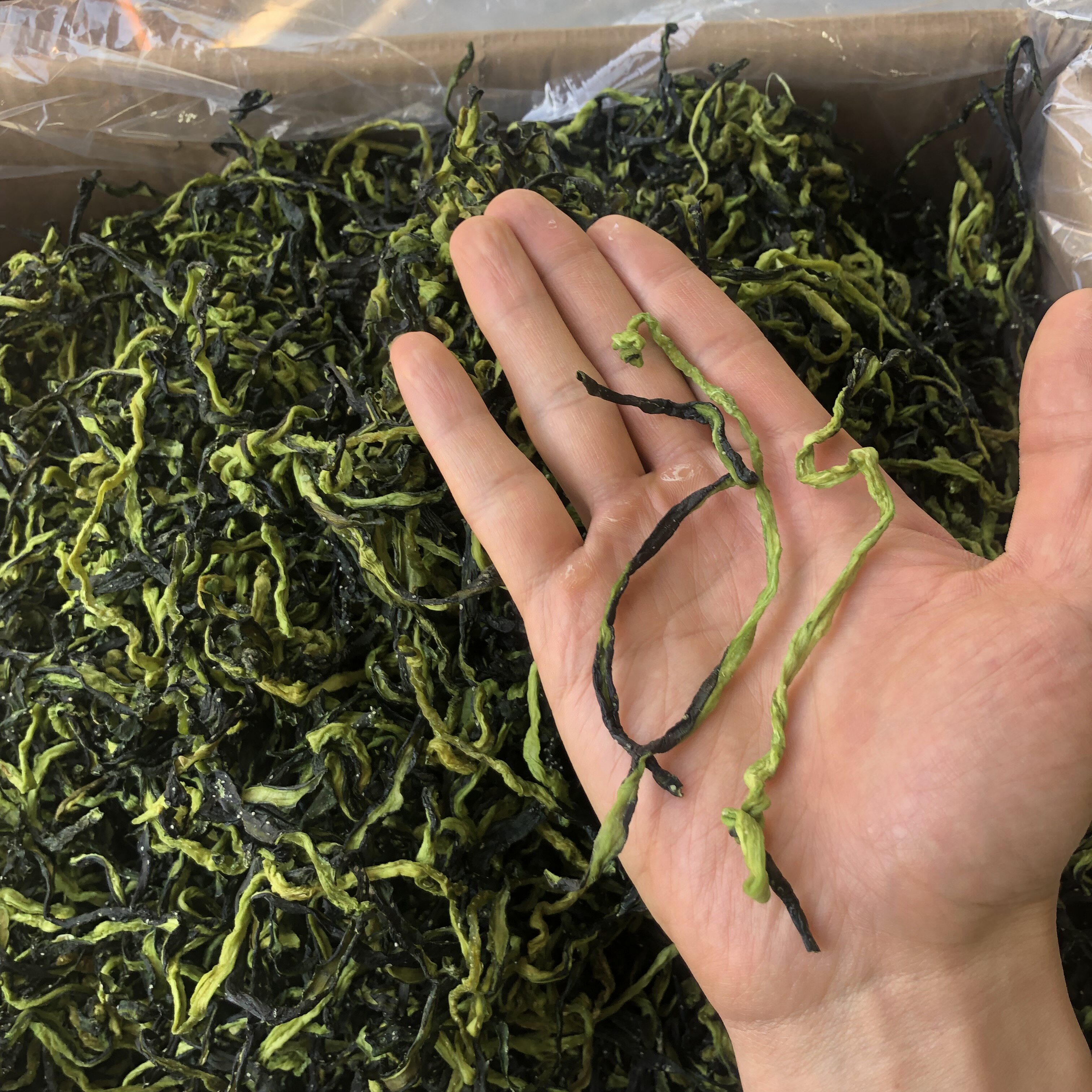 黄瓜2021新货一斤干黄瓜条干钱脱水蔬菜干菜其它干货