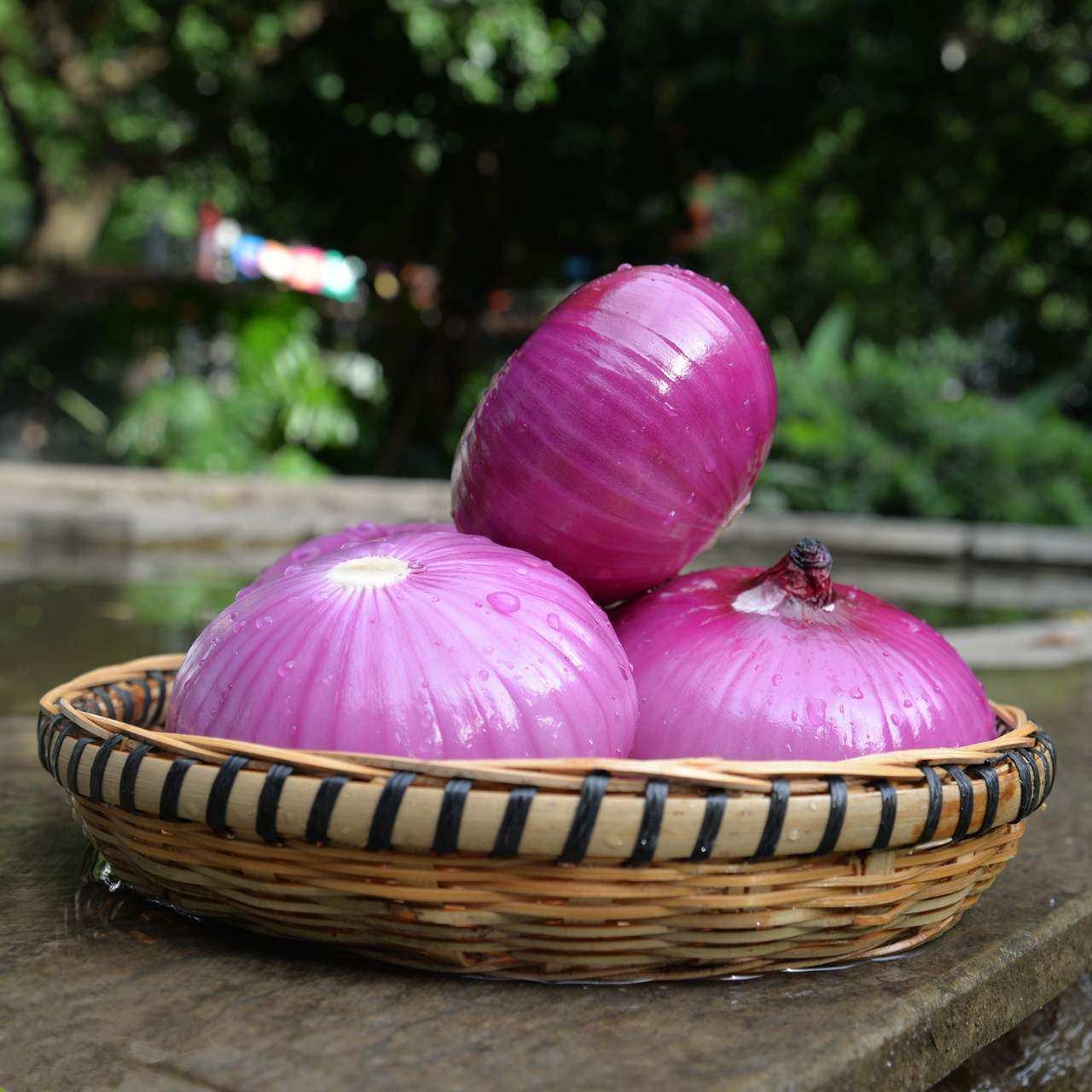 山东特产洋葱新鲜蔬菜农家自种当应季现摘现发其它