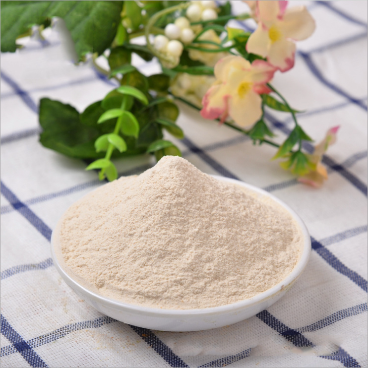 大蒜食用香粉蒜头500g煮面烧烤炒菜香辛调料天然粉粉食品