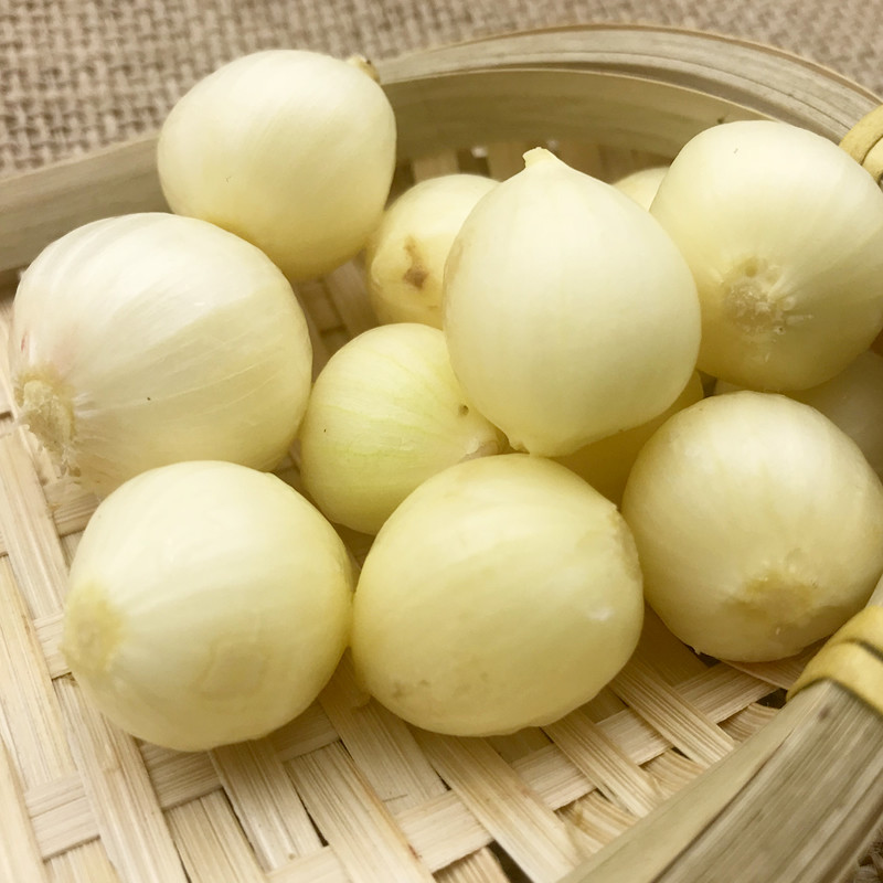 3斤包邮新鲜农家苦藠团葱小根葱野葱头四川苦茭其它