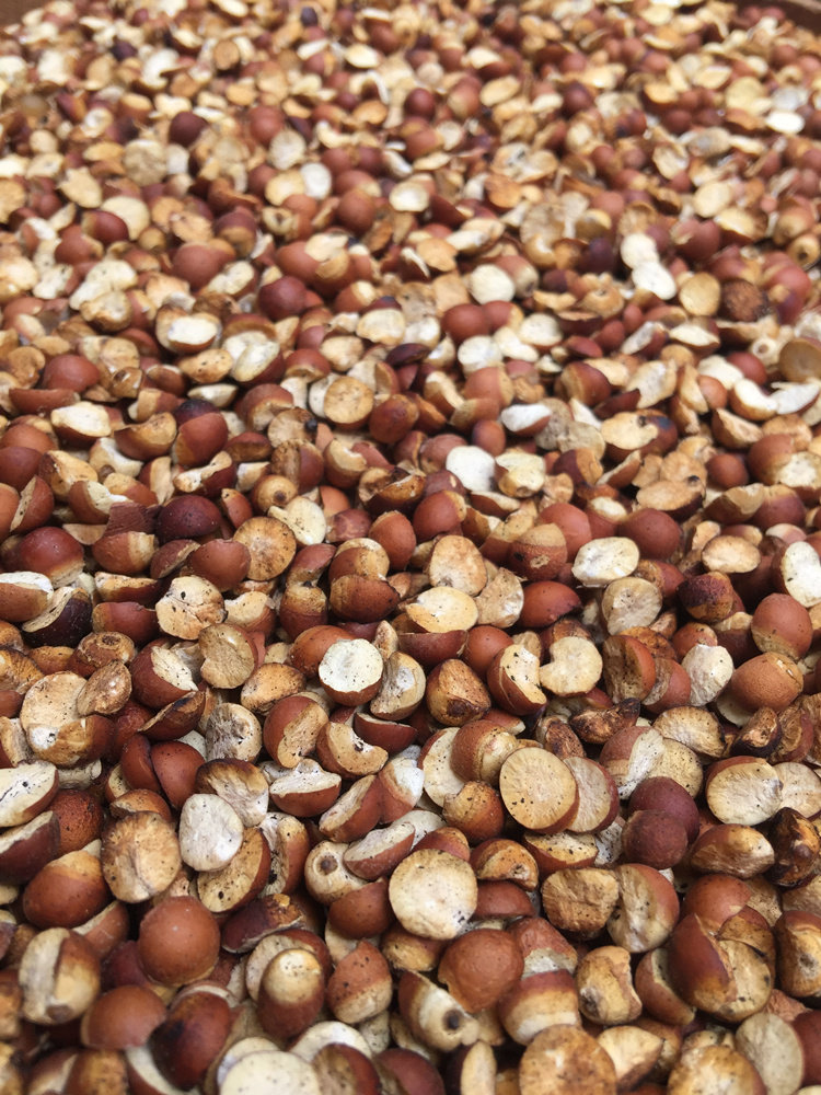 芡实两半代客麦麸炒制现拍炒熟肇庆芡实米鸡头芡实