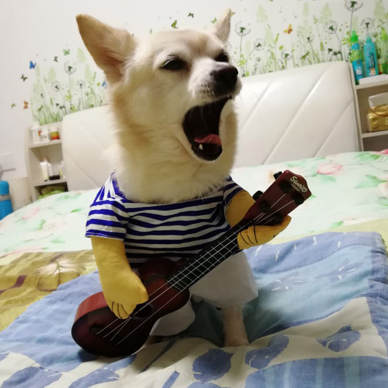 抖音同款弹吉他狗狗衣服夏季薄款秋装搞笑变身狗宠物服装