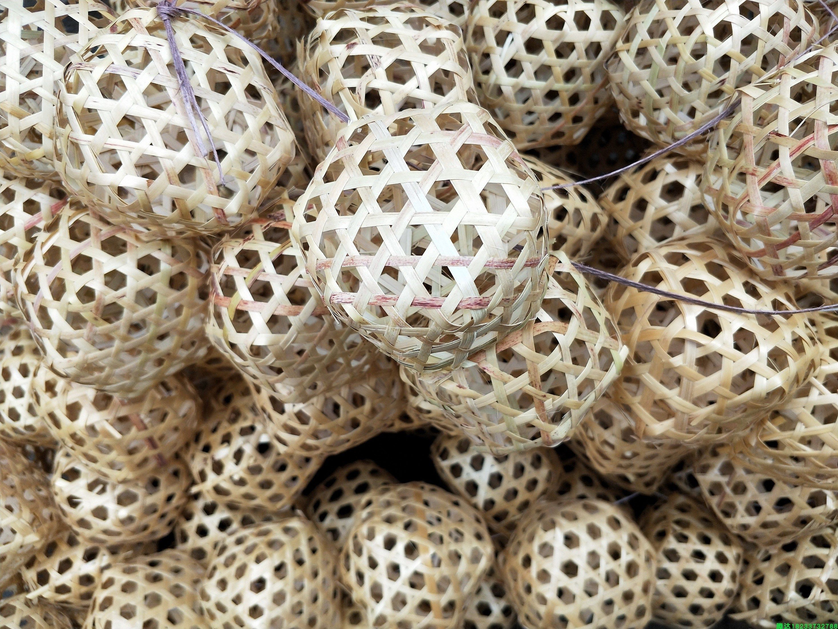 蝗虫宠物爬虫手工昆虫用品虫具编织织圆蚱蜢爬虫