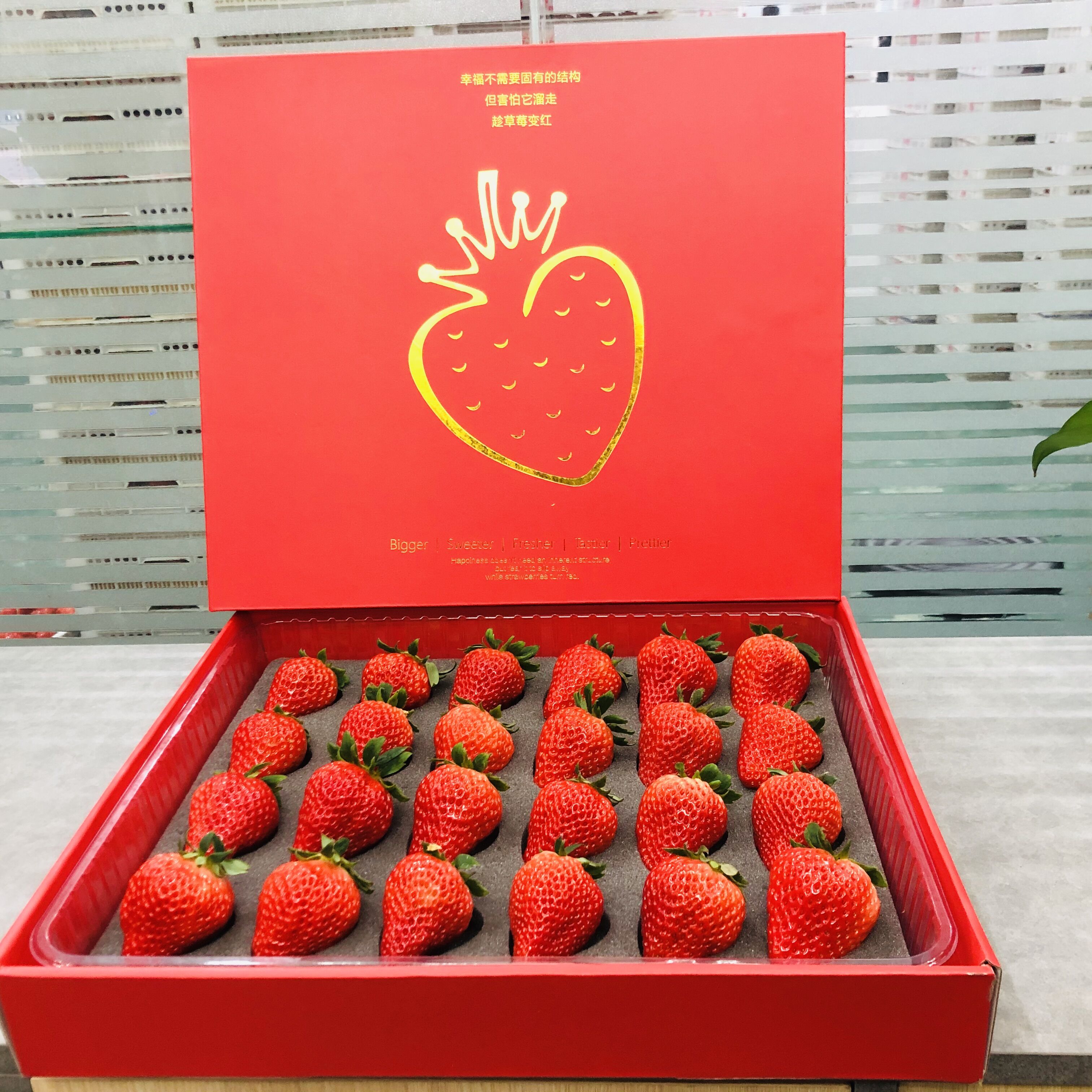 草莓丹东红颜九九九大网红黑金礼盒送礼顺丰草莓
