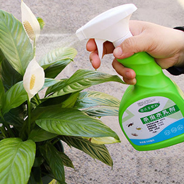 家用杀虫剂花卉植物多肉通用花药蚧壳虫小黑飞蚜虫花草室内除虫剂