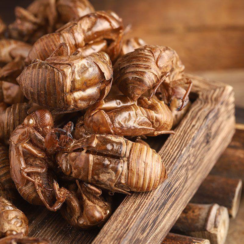 知了皮虫退蝉中药材野生蝉蜕虫蜕500g克蝉蜕皮其他药食同源食品