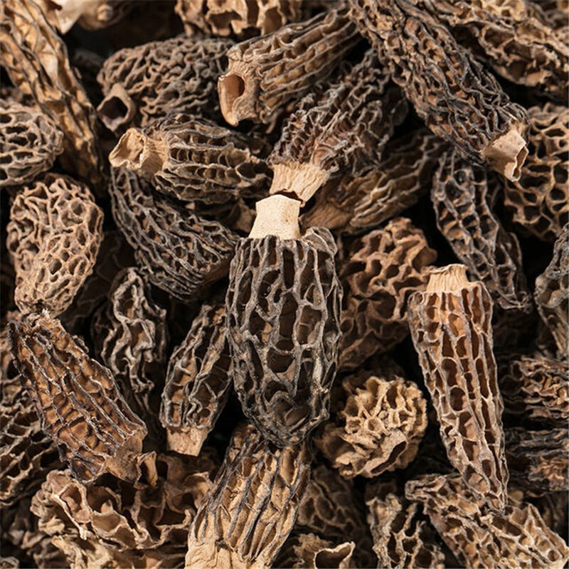 羊肚野生干货50g云南丽江特产剪羊肚菌煲汤羊肚菌