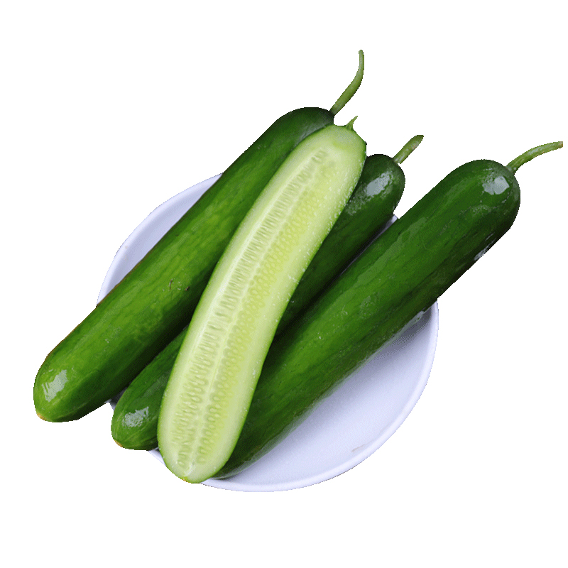 水果小黄瓜5斤新鲜现摘绿青孕妇蔬菜当季生吃黄瓜