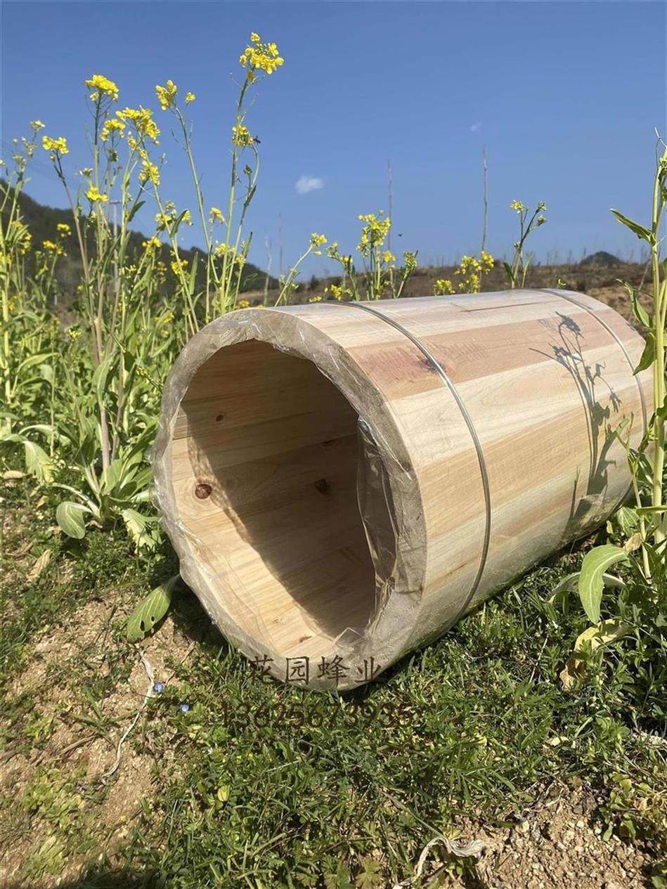 杉木桶花园蜂业中蜂土养横养竖养蜂桶蜜蜂桶诱蜂箱圆桶蜂箱养蜂桶