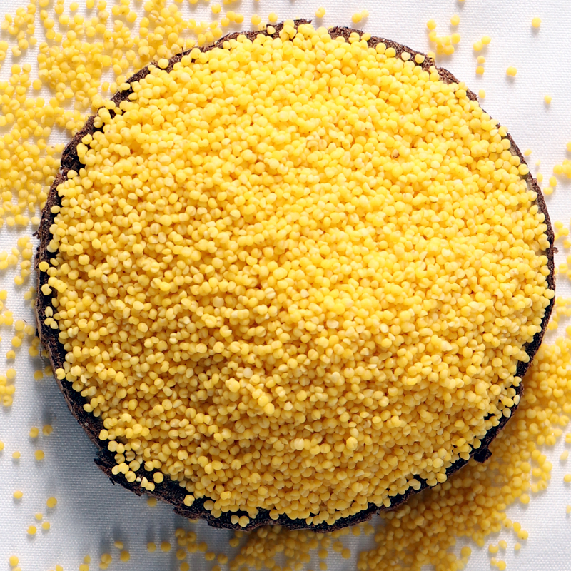 小米新米黄米粥k1农家小黄敖汉特产赤峰内蒙小米