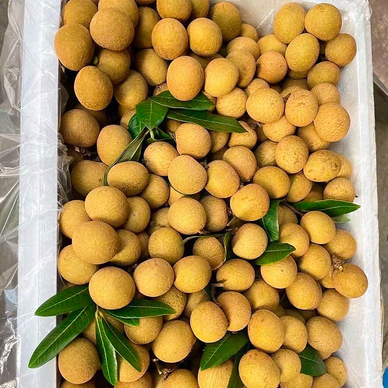 水果批发包邮新鲜省份-广东省