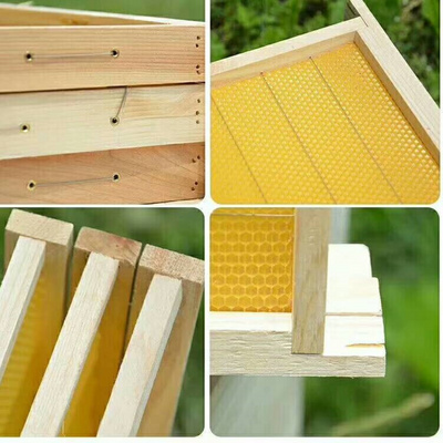 成品巢框半成品巢框中蜂巢础框蜜蜂工具巢框框架巢基2020新款
