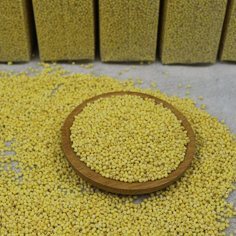 大黄小米谷子米粟米黄米粘小黄种植农家大米小米