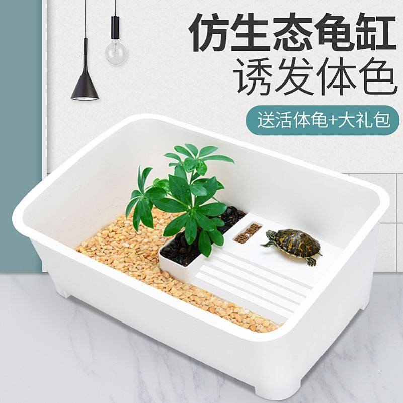 龟缸乌龟容器晒台爬台小型创意饲养客厅别墅鱼缸