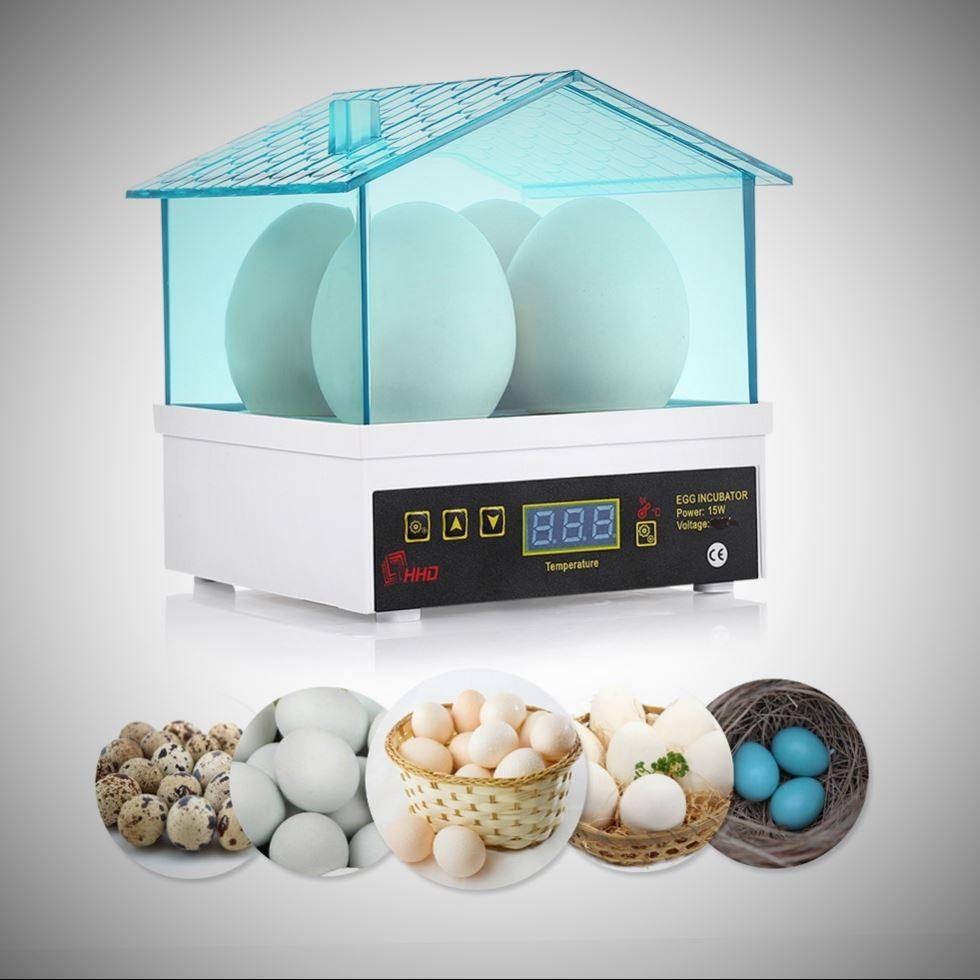 小型迷你蛋器4枚家用小型机孵蛋机孵化小鸡自动电热工具
