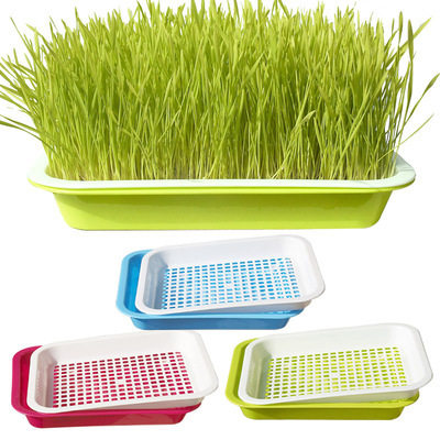 首页 下载app                          芽苗菜育苗盘 种植盘 芽菜盘