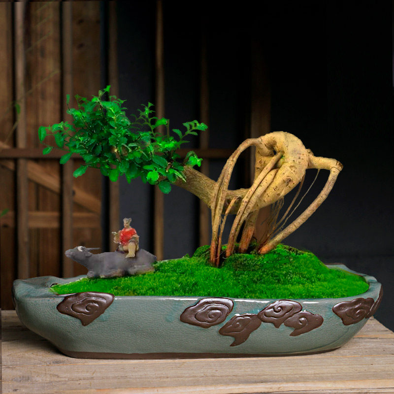 花盆新中式绿植装饰客厅家用造景盆栽创意特大号花盆