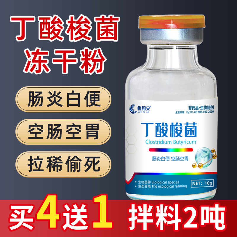 酸菌丁酸杆菌虾蟹养殖水产酪酸梭状芽孢梭菌其他益生菌