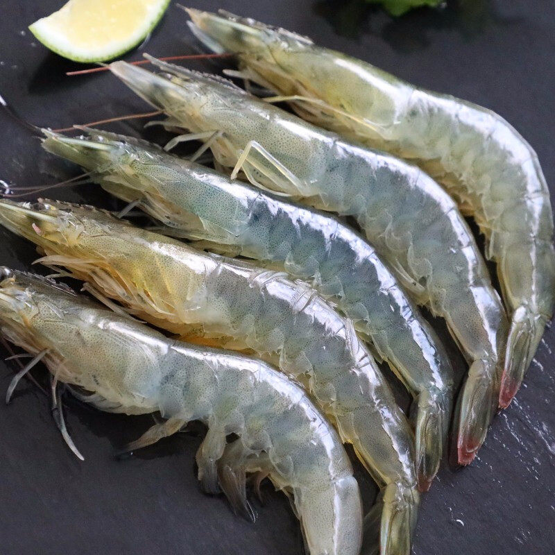 大虾海虾鲜活速冻超大海鲜水产新鲜基围虾特大厄瓜多尔白虾鲜虾冻