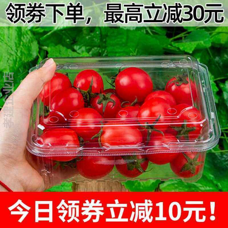 一次性水果透明带盖一斤圣女果包装盒500克网红塑料一次性餐盒