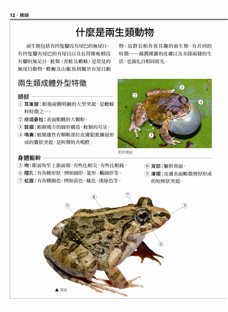 现货正版原版进口图书中国台湾蛙类蝌蚪图鉴生活类原版书