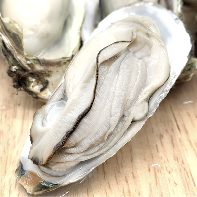 乳山鲜活5斤大生蚝肉即食牡蛎贝海海鲜水产生蚝
