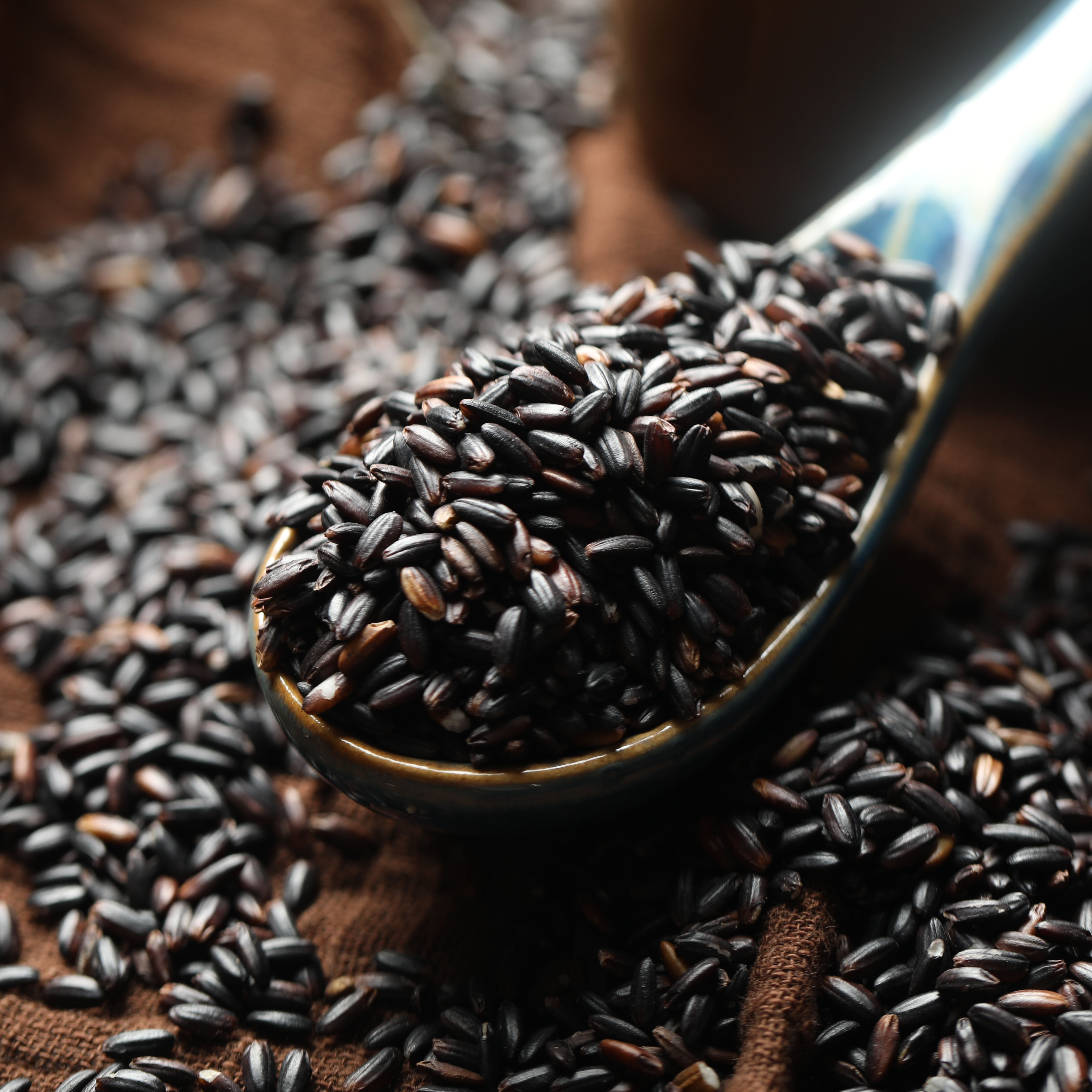 东北农家黑糯米新米血糯米饭团专用米5斤糯米散装酒酿甜月子酒