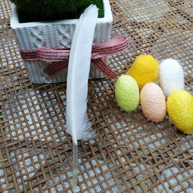 养蚕专用工具蚕宝宝抓蚕羽毛夹子放大镜结茧油纸蚕宝宝