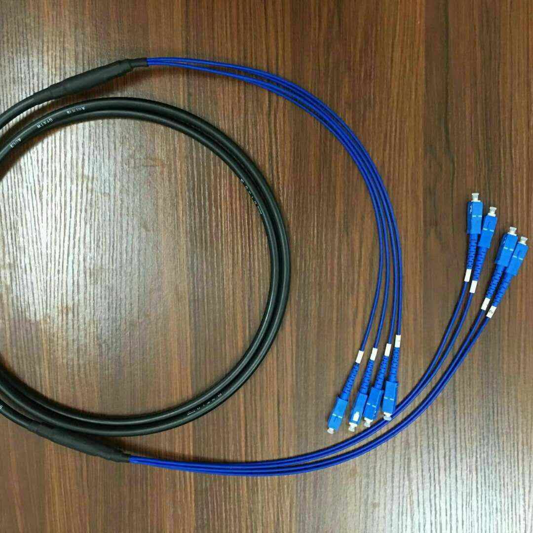 博雁翔四芯铠装成品sc尾纤跳线光缆室外单模国标4芯6芯8芯12芯24fclc