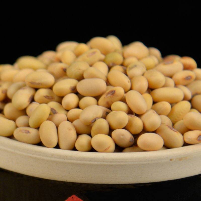 【农家自产】长粒肾型老扁黄豆生豆