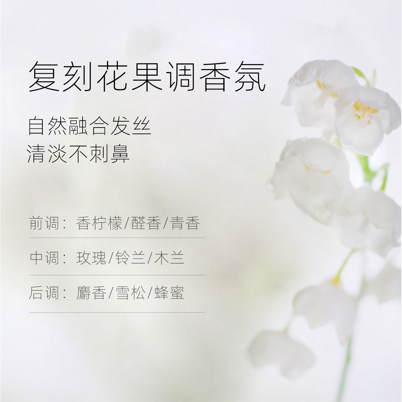 KT且初女士护发油护发精油预防毛躁头发柔顺干枯卷发烫染KIMTRUE - 图2