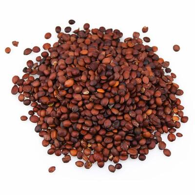 生枣滇枣理枣中药材供应500g酸枣仁