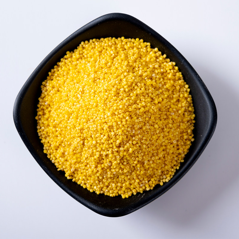5斤小米香糯新米食用月子黄小黄小米特级敖汉小米