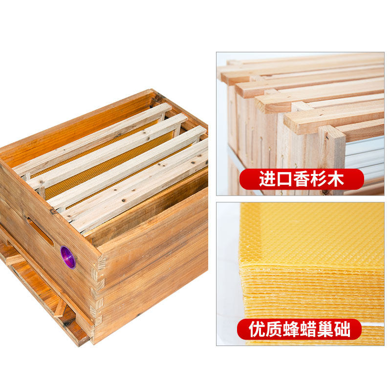 巢础蜜蜂巢础框中蜂成品巢框意蜂巢础片巢脾巢基养蜂工具全