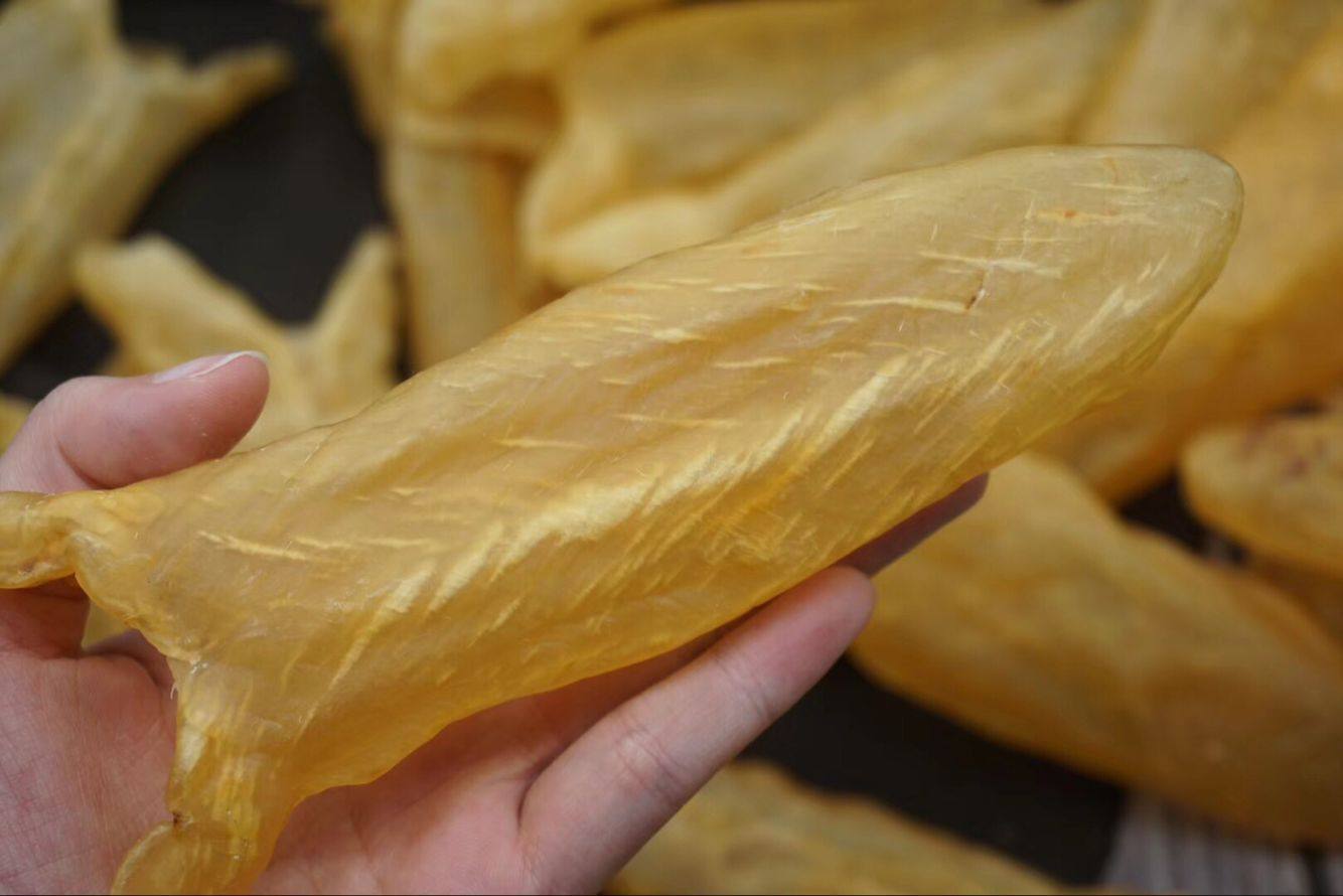 非洲正品黄花胶原原生鱼胶正宗干货破洞60头花胶