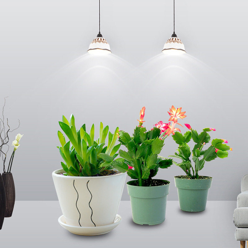 philips飞利浦par38光谱led植物生长e27植物生长灯