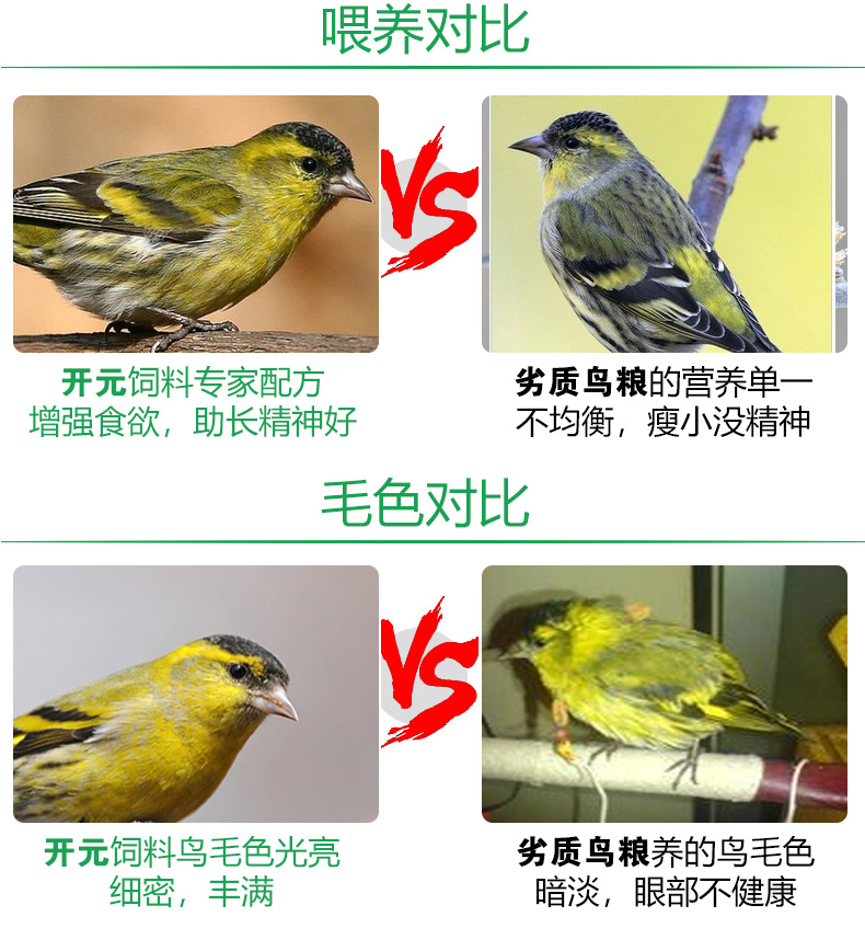 鸟食饲料黄雀金青鸟青鸟玉鸟芙蓉蜡嘴谷鸟250克鸟食