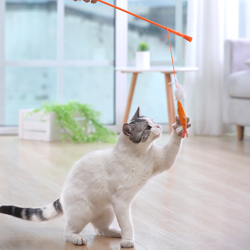 afp磨牙自嗨猫咪猫小咬抖猫啃棒奶逗猫自己逗猫棒