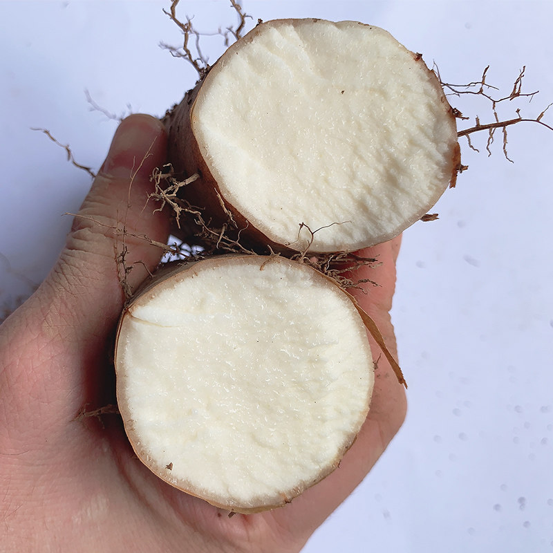 毛薯新鲜猪仔薯野山药粉糯香田薯茂名特产农家自种甜薯5斤包邮