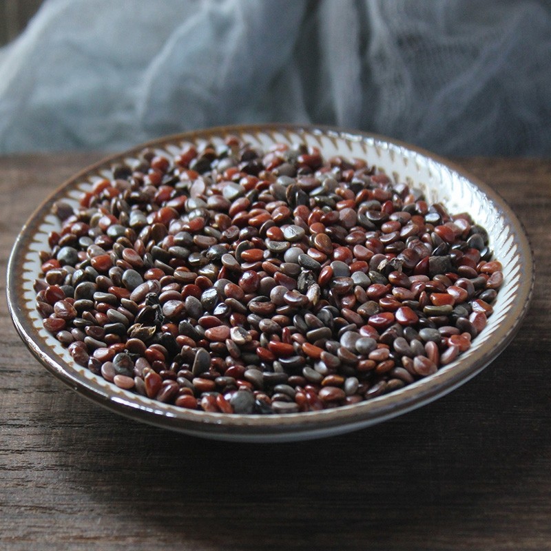 枳椇500g农家晒干中药材药铺材料枳贝茶椇养生养生茶