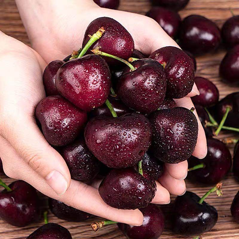 智利进口santina新鲜车厘子10斤装原箱桑缇3j4j樱桃车厘子