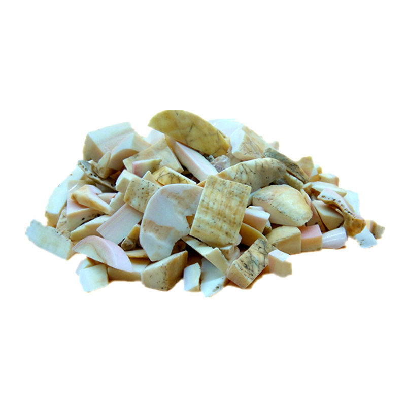 天然国画颜料蛤粉贝壳原石矿石白粉原料工笔画国画颜料