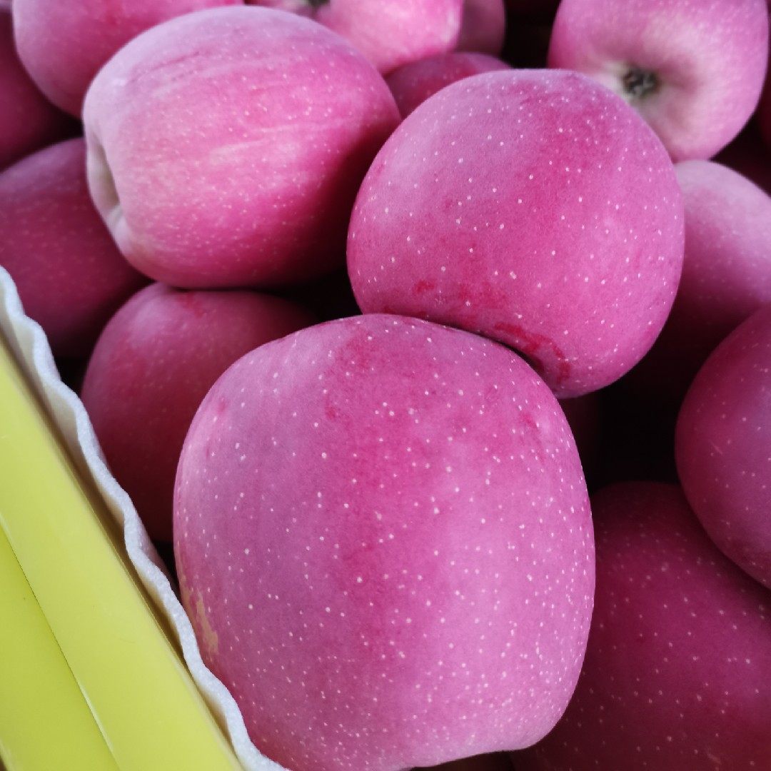 甘肃天水冰糖糖心水晶红富士苹果新鲜脆甜应当苹果