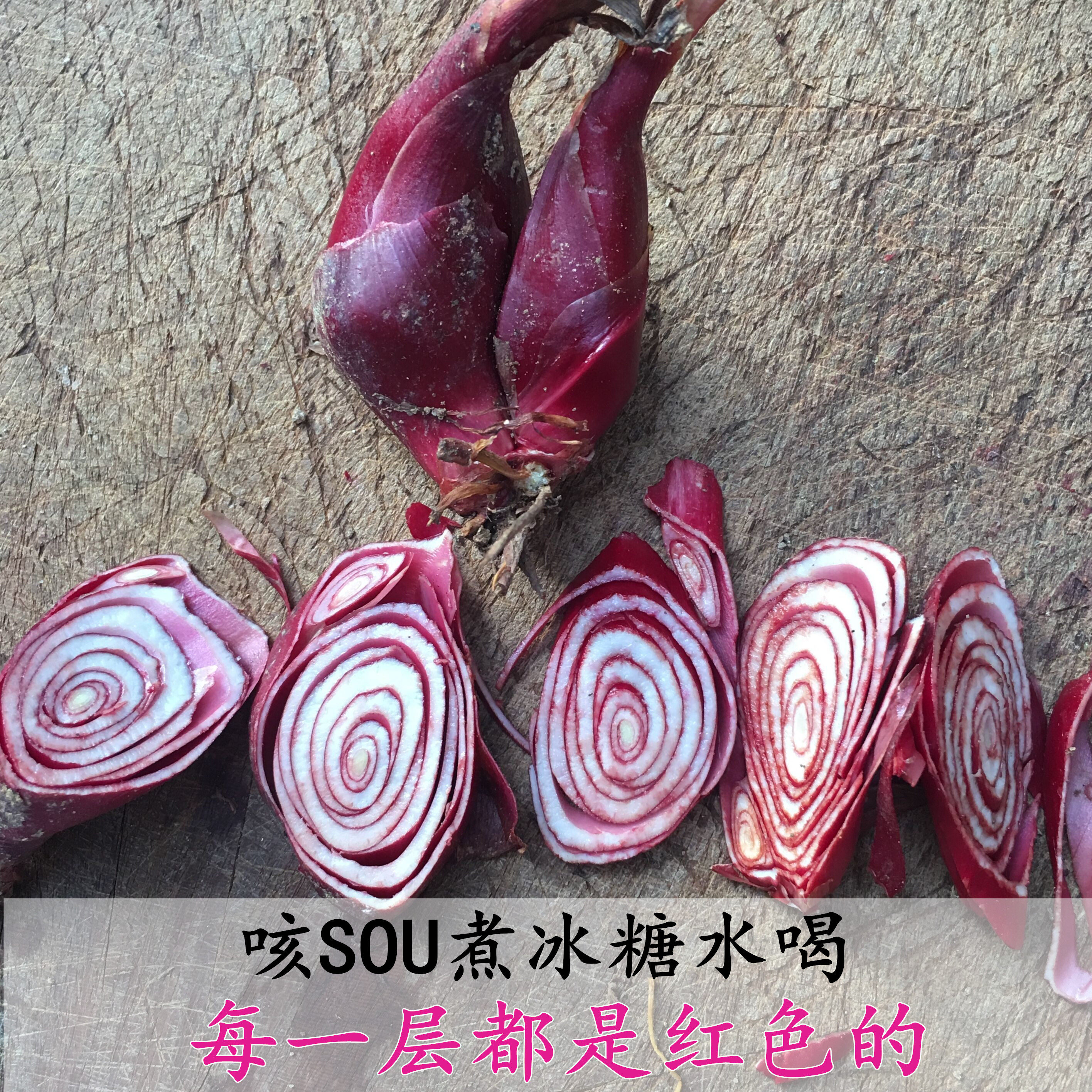 中药材红葱通小红红葱头百步还阳血葱500克可种葱类