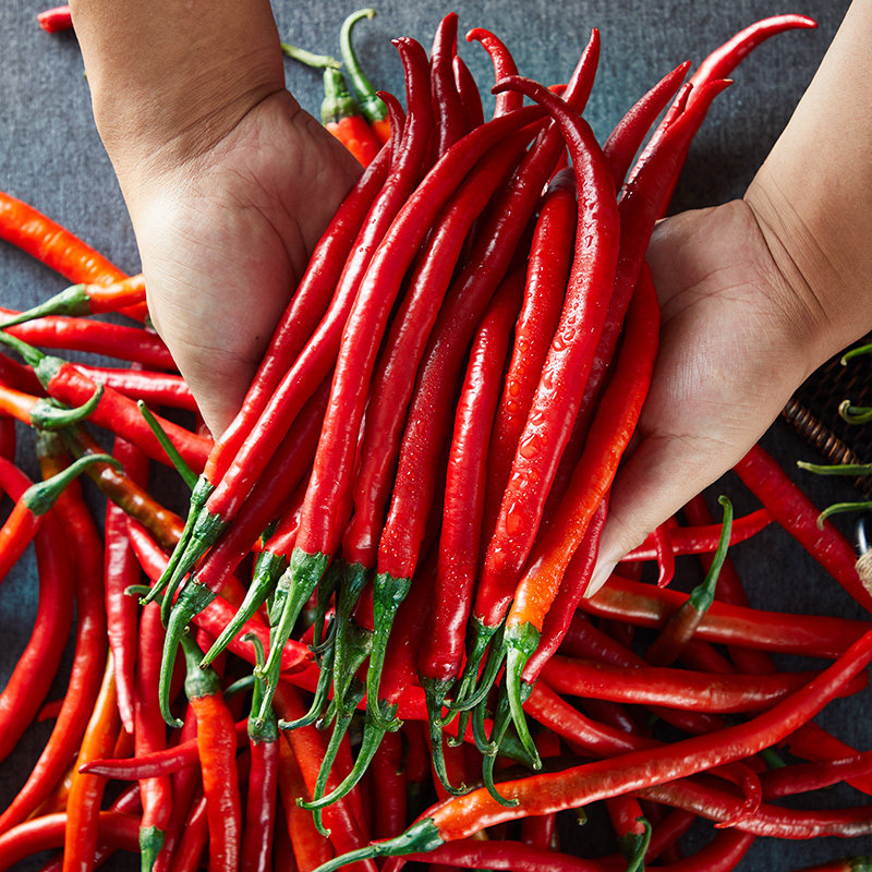 现摘农家红二荆条5斤新鲜辣椒鲜红红辣椒线椒辣椒